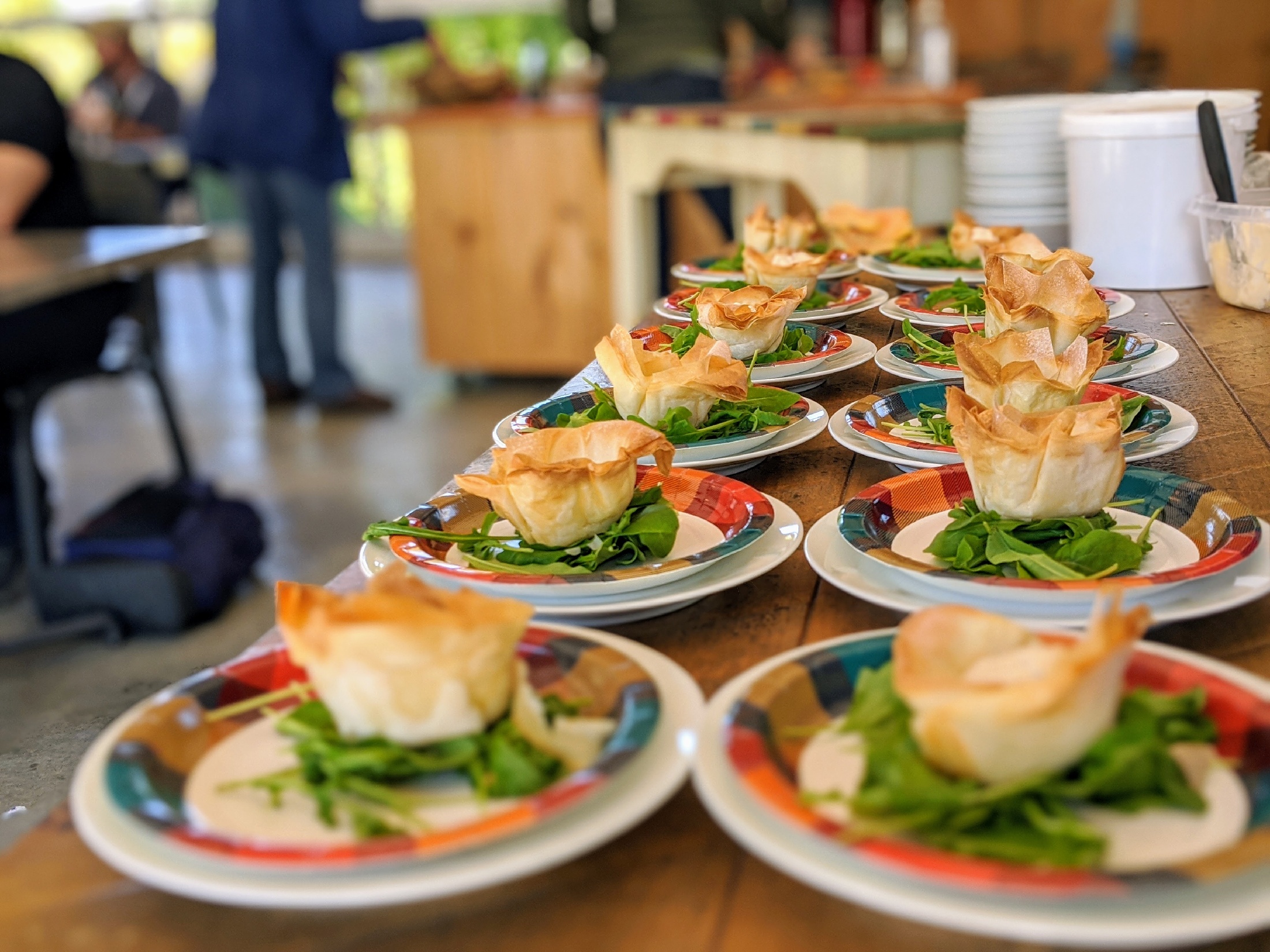 Mushroom Foray Event Adventure