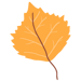 Fall-Icon-Cabin