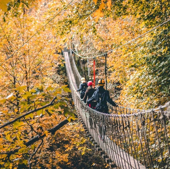 Image 2025-09-24 at 5.31 PM (2)