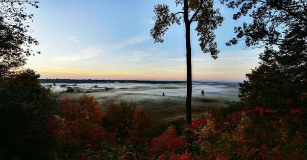 Turkey Point Marsh
