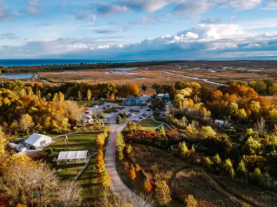 Image 2025-11-04 at 3.39 PM