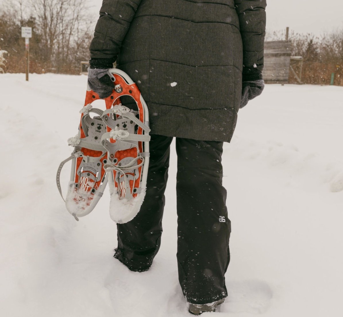 Image 2026-01-12 at 12.26 PM