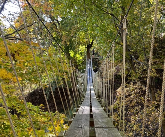 Image 2026-02-02 at 2.35 PM