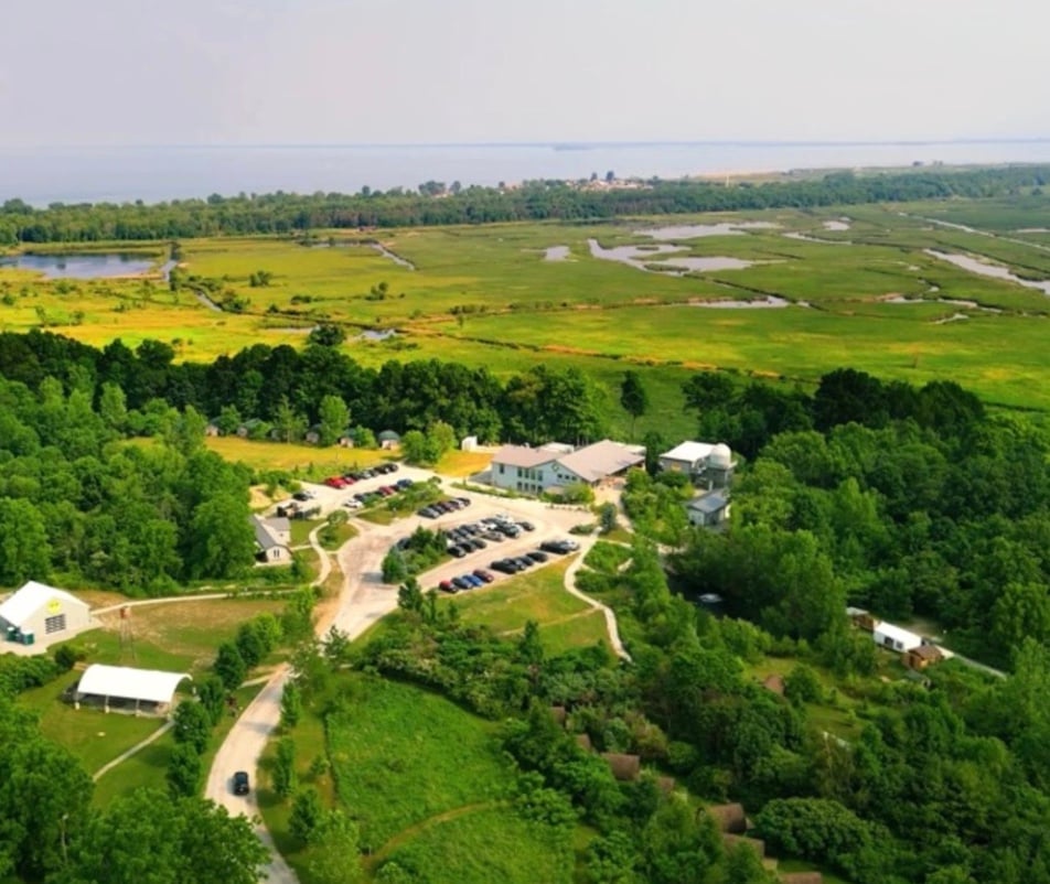 Marshview Patio & Bar