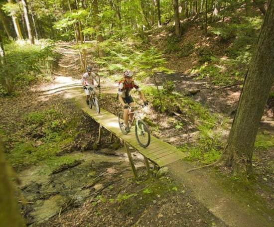 Image 2026-02-02 at 4.50 PM-1