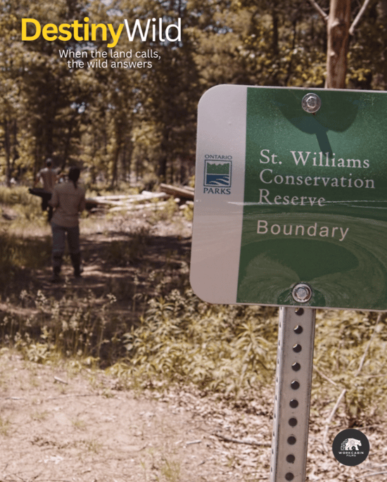 Dinner and film experience. 