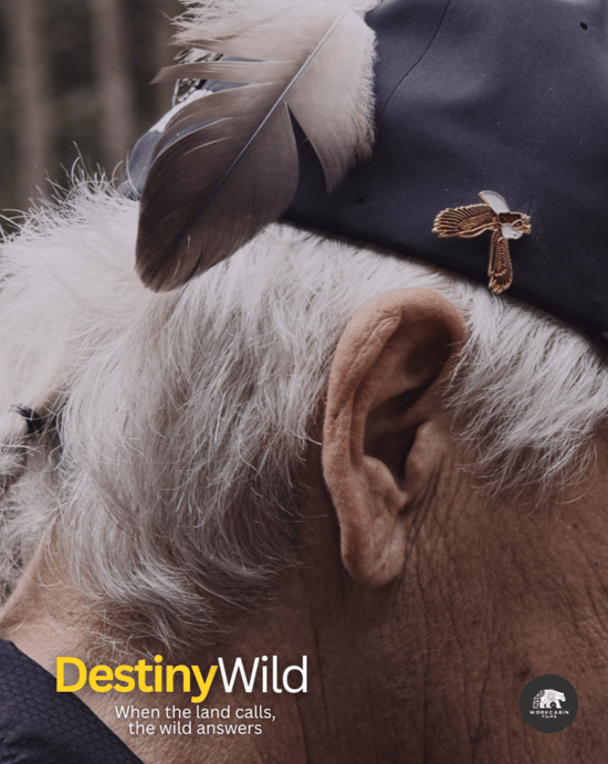 Image 2026-03-06 at 1.14 PM