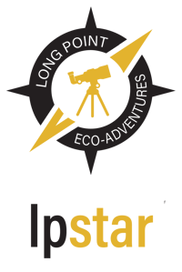 LPstar(withtext)