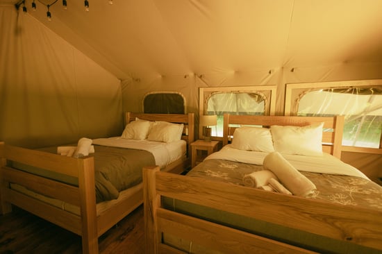 Double Queen Wilderness Suite