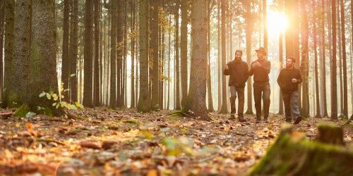 Fall Carolinian Forest