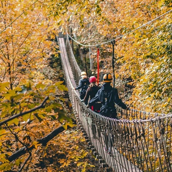 Fall From New Heights