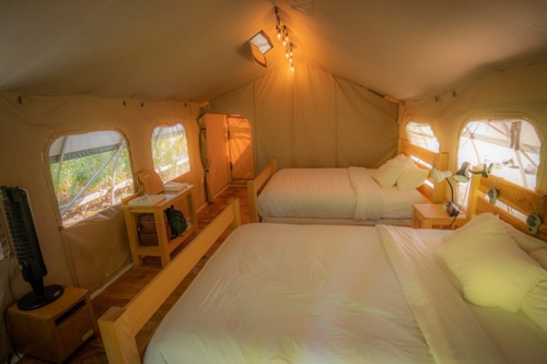 WildSuite16-2