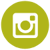 insta icon