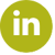 linden icon