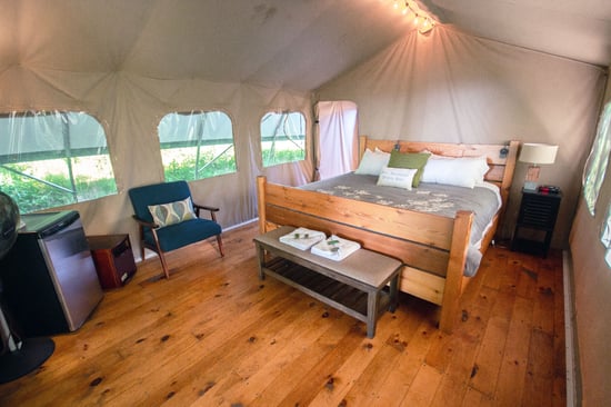 King Wilderness Suite
