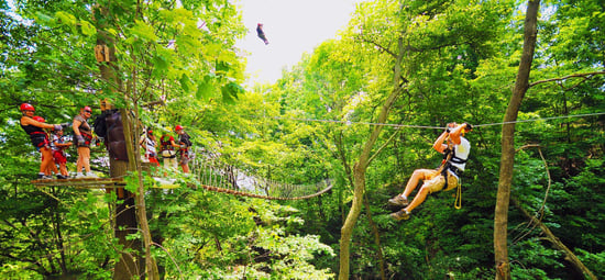 zipscene-Mar-25-2024-03-50-39-5418-PM