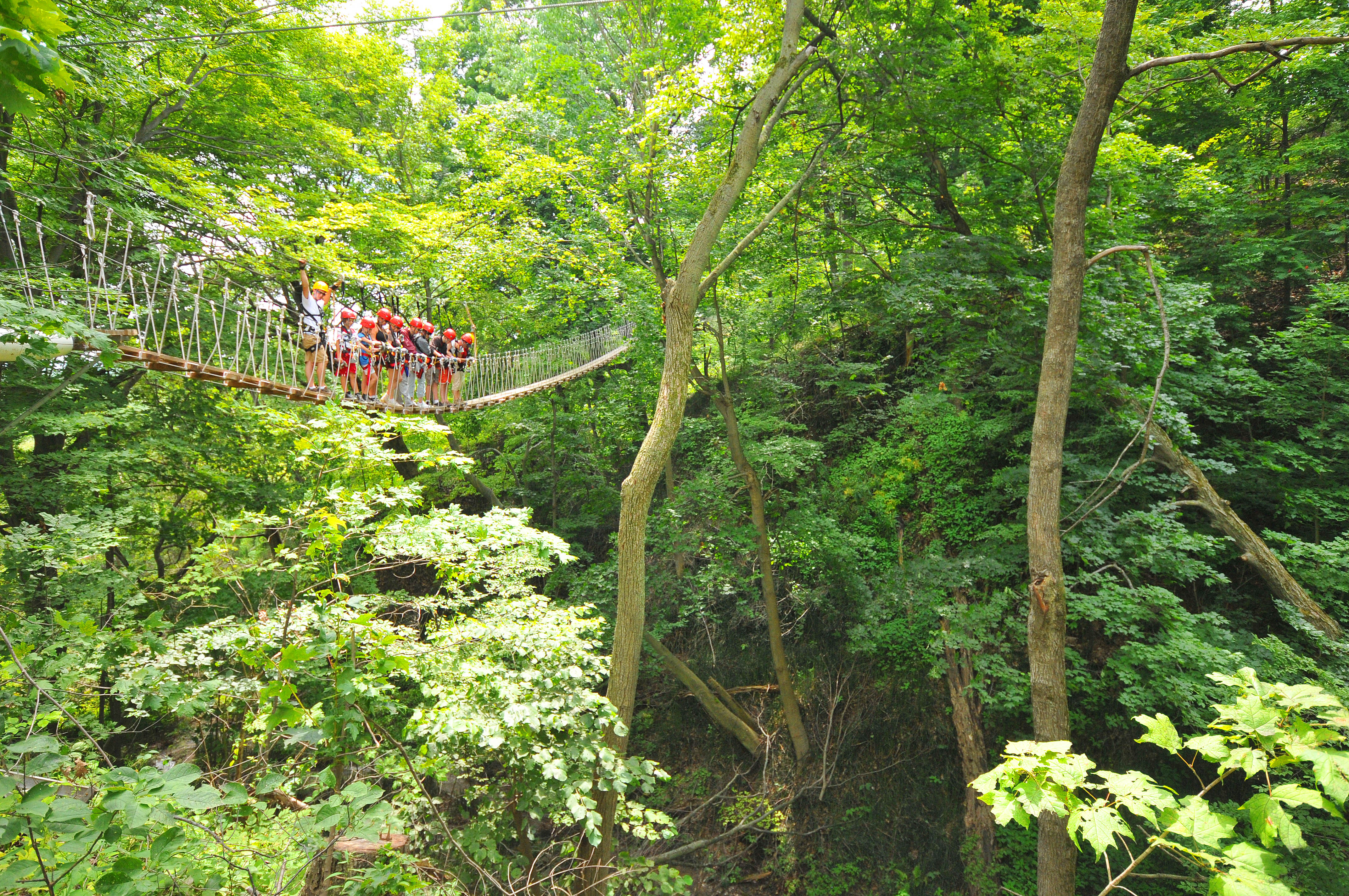 zip bridge