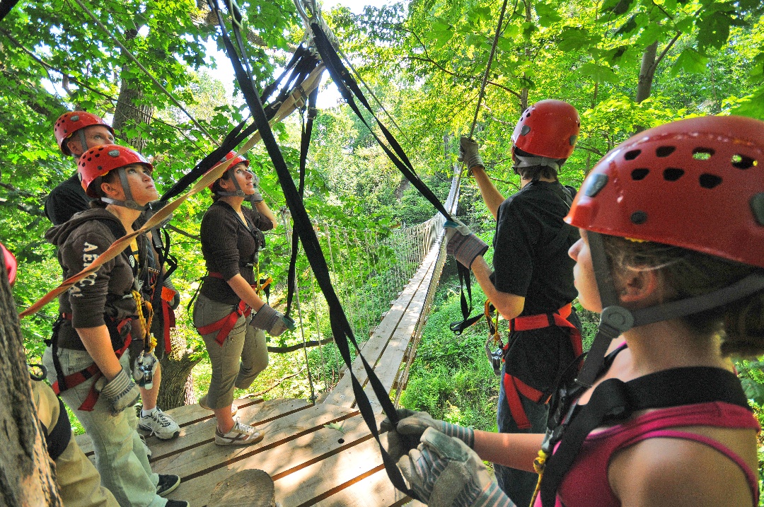 Zip line bridge