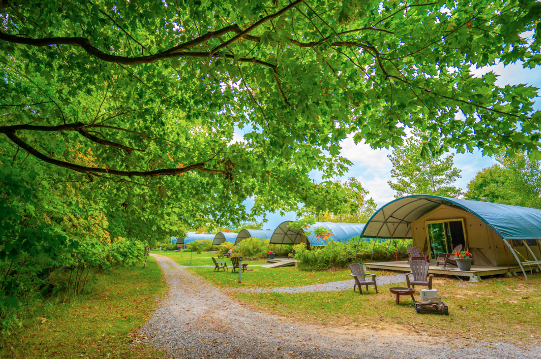 Image 2026-02-03 at 2.31 PM Image 2026-02-03 at 2.31 PM