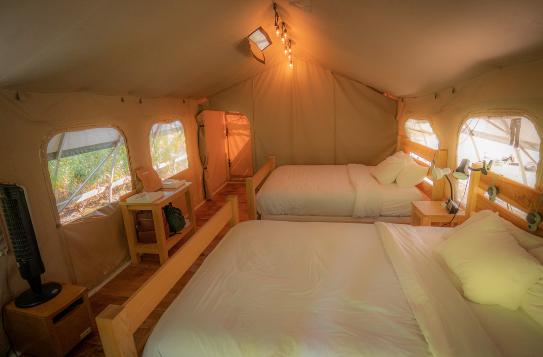 Image 2026-02-03 at 2.39 PM (1)