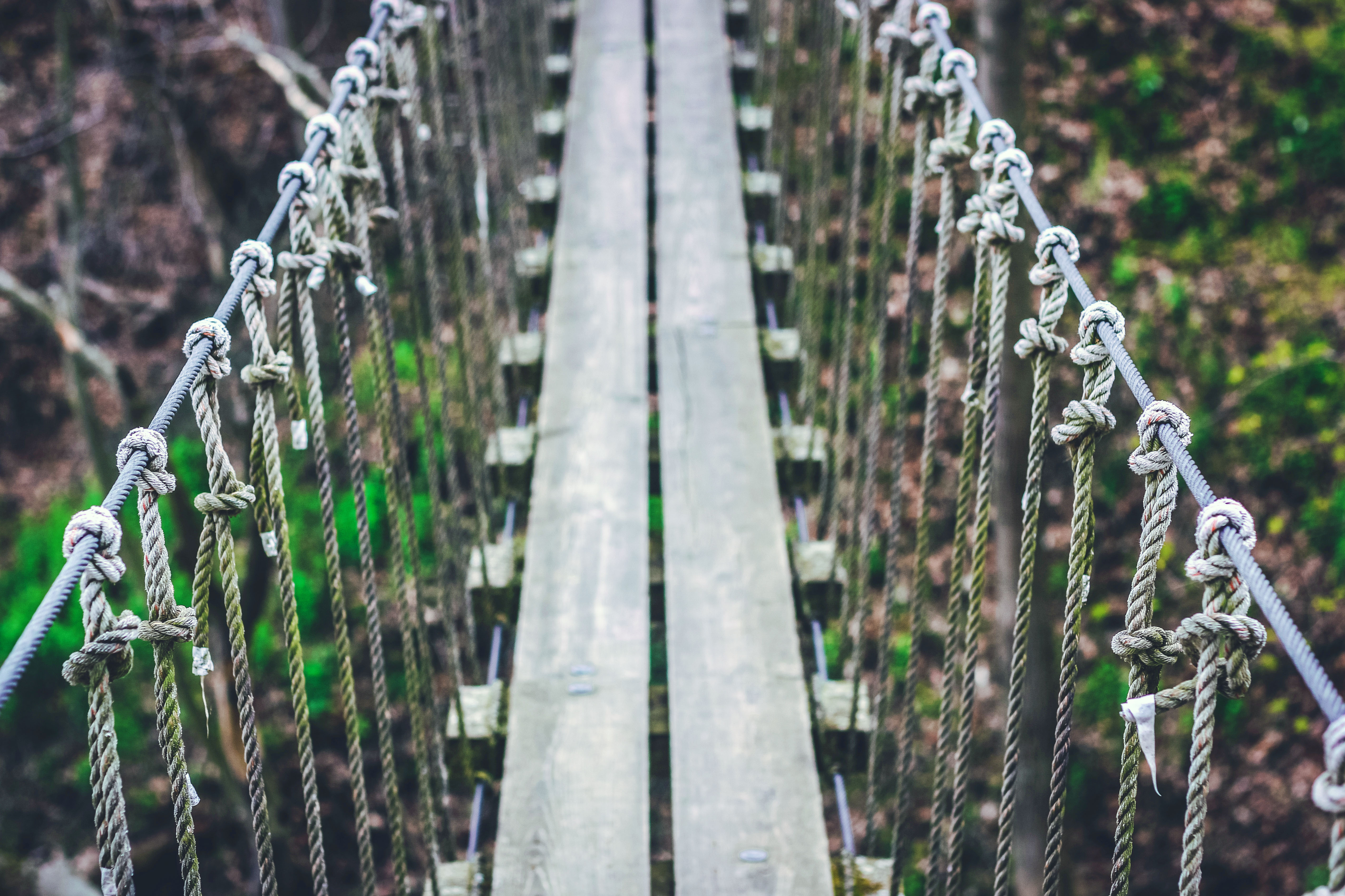 zipbridgereduced